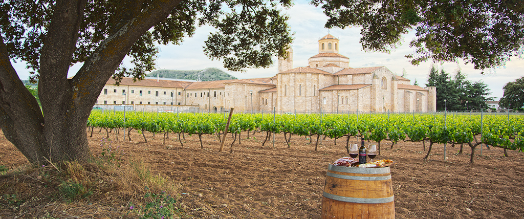 Viñedos de Castilla Termal Monasterio de Valbuena.